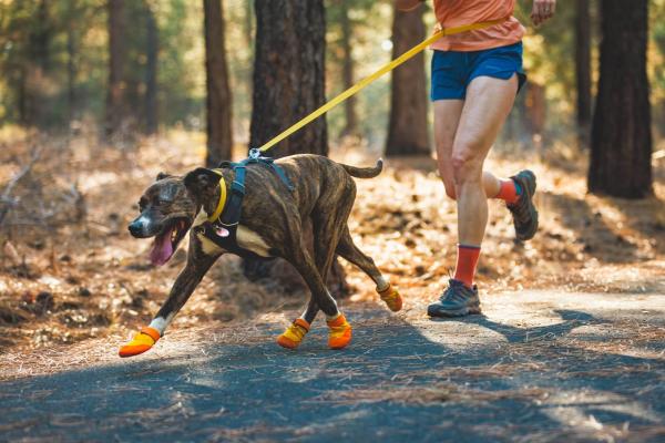 Ruffwear Summit Trex Shoe Sunrise Yellow Gr. 57 mm / XS